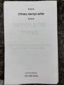 Shlalom Ukdusha Beholecha שלום וקדושה באהלך