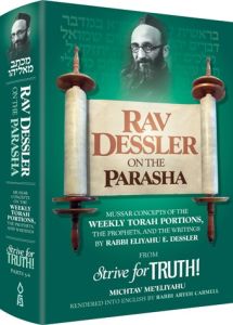 Rav Dessler on the Parasha
