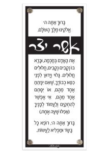 Lucite Asher Yatzar Basics – Traditional