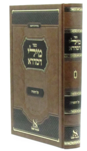 Mili Desidra Al Hatorah מילי דסדרא עה”ת