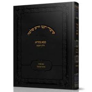 שיעורי רבנו חיים שלמה – בבא בתרא ח”א SHIUREI RABEINU CHAIM SHLOMO BABA BASRA 1