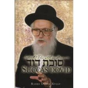 Succas Dovid 5