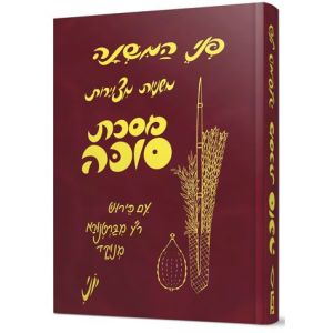 פני המשנה סוכה Mishnayos Penai Succah