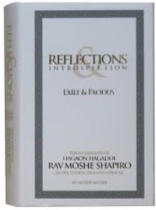 Refelections and Introspections