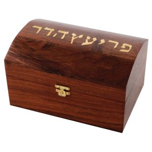 Etrog Box Wood with Brass inlay