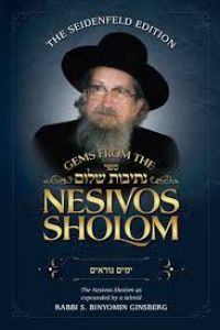 Gems from the Nesivos Shalom: Shabbos Kodesh