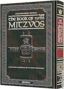 Sefer Hachinuch / Book of Mitzvos – Volume #10