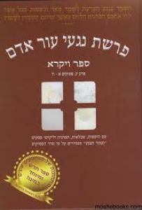 פרשת נגעי עור אדם ספר ויקרא