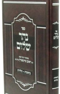 Nehar Sholom Vol 1 נהר שלום על התורה