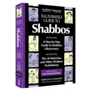 Illustrated Guide to Shabbos