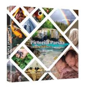 Pictorial Parsha Breishis