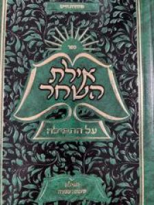 Ayeles Hashachar Al Hatfilah  אילת השחר – על התפילה – הרב שהרבני