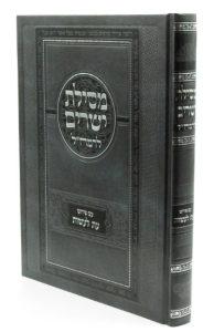 Mesilas Yesharim Eis Laasos מסילת ישרים עת לעשות