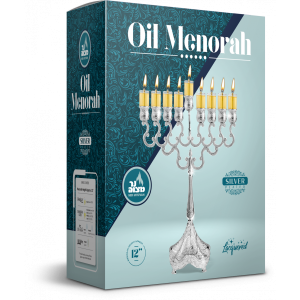 Silver Plated OIl Menorah 11 30661