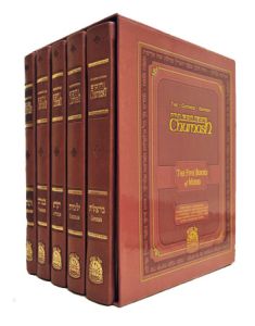 חומש chumash set of 5