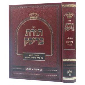 תורת בריסק בראשית – שמות