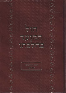 Chol Hamoed Kehilchoso חול המועד כהלכתו