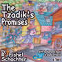 Tzadik's Promises- R' Fishel Schachter CD