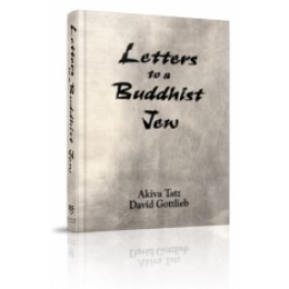 Letters to a Buddhist Jew