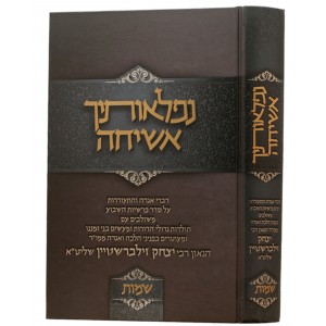 נפלאותיך אשיחה-שמות Niflosecho Asicha Shemos