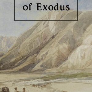 Ethics of Exodus