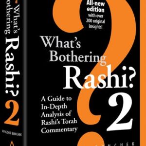 What's Bothering Rashi 2