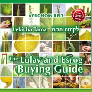 Lekicha Tama: The Lulav and Esrog Buying Guide
