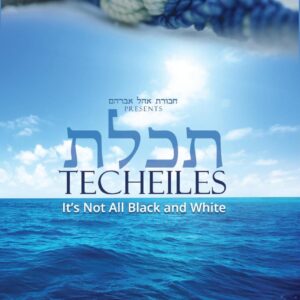 TECHEILES - IT'S NOT ALL BLACK & WHITE DVD