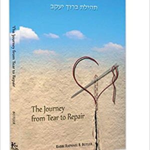 The Journey From Tear to Repair