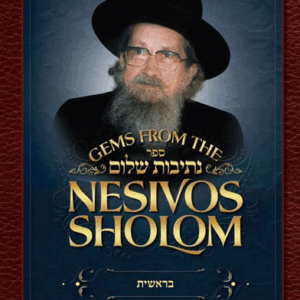 Gems from the Nesivos Sholom Shemos