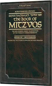 Sefer Hachinuch / Book of Mitzvos - Vol 8