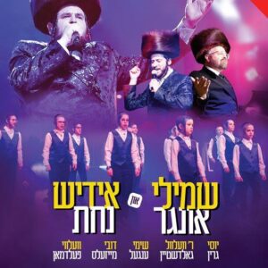 Bracha and Nachas DVD