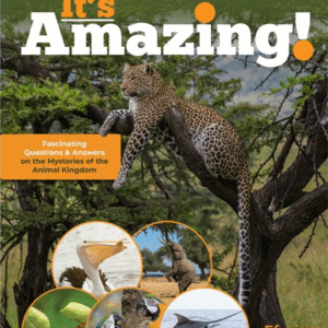 It's Amazing! Animal Kingdom