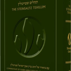 Steinsaltz Tehillim