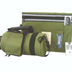 Tik Tefillin Safe Olive