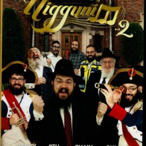 The Rebbe's Nigguni Vol 2