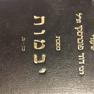 שיעורי רבי דוד פוברסקי - יבמות Shiurei Rav Dovid Povarsky Yevamos