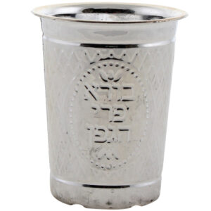 Plastic Kiddush Cup