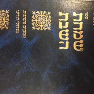 שמחת השבת Simchas Hashabos