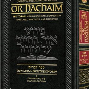 Or Hachaim Devarim 1