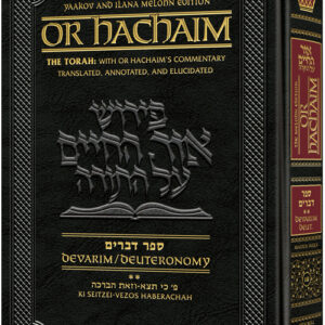 Or hachaim Devaim Vol 2