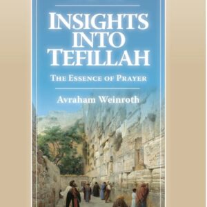 Insights into Tefilah