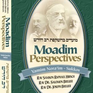 moadim perspectives yamim norim