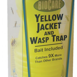 BEE WASP TRAP