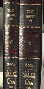 חיי אדם נשמת אדם VOL 2