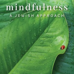 Mindfulness A Jewish Approach