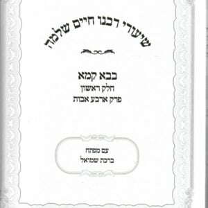 שיעורי רבינו חיים שלימה ב׳ קמא א Shiurei Rabeinu Chaim Shlomo Baba Kama 1
