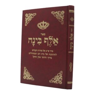 אלף בינה ALEF BINAH -SMALL