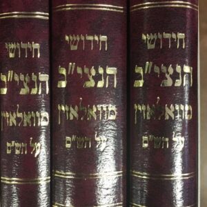 חידושי הנצי''ב ג'כ CHIDUSHEI HANATZIV