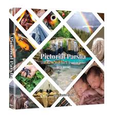 Pictorial Parsha Breishis